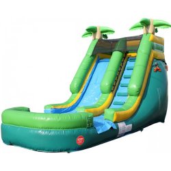 14ft Tropical Water Slide  $250